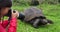 Wildlife videographer and tourist on Galapagos Islands by Giant Tortoise