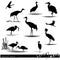 Wildlife. Wading birds set. Herons and cranes birds silhouettes.