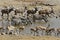 Wildlife at the waterhole, Etosha, Namibia