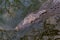 Wildlife: Wild Swamp Crocodile Swimming in Lagoon in Jungle