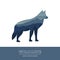 Wildlife wolf blue forest landscape silhouette