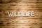 WILDLIFE word made of wooden letters on wooden board