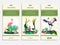 Wildlife world mobile app page templates set