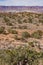 Wilhite Trail, Holeman Spring Basin and Henry Mountains, Canyonlands National Park, Utah