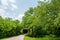 Wilkins Mill Covered Bridge, Parke County, Indiana