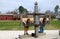 Williamsburg, VA: Kids in Stocks