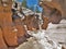 Willis Creek Narrows