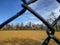 Willis Tower from the Union Park Baseball Field.