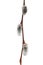 willow branch, large detailed flowering bud twig isolated