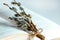 Willow branches with catkins on an open book