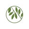 Willow green leaf icon