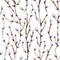 Willow seals on white background. Hand drawn watercolor seamless pattern
