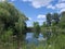 Willow tree and bullrushes surrounding a placid pond