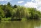 Willow Tree at Mariposa Lake and Park