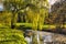 Willow tree by the Pond