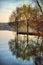 Willow tree reflecting on lake water. Serene autumn scene