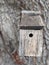 Willow Tree And Wooden Birdhouse With Blurred Background