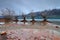 Willow Trees in Lake Wakatipu, Glenorchy Queenstown