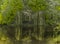 willow trees leaning over the water in the pond