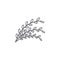 Willow twig outline icon. Simple element illustration. Willow twig symbol design template. Can be used for web and mobile