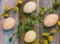 Willow twigs and Easter eggs with a simple pattern of yellow and green dots on a wooden retro background top view close-up