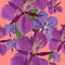 Willowherb, epilobium. Seamless pattern texture of flowers. Floral background, photo collage