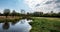 Willows on the little river The Dommel in the South of Holland.