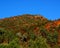 Wilpena Pound, Flinders Ranges