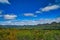 Wilpena Pound, Flinders Ranges, South Australia,