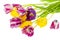 Wilted bouquet of colored tulips on white background