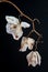 Wilted Orchid Phalaenopsis flower blossoms