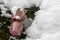 Wilted rosebuds under the snow in the winter park. Close-up, selective focus