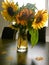 Wilted sunflowers in glass vase