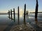 Winchelsea beach landscape view low tide exposing flat sand with wooden sea groynes protruding from the sand