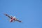 Winchester, CA USA - June 14, 2020: Cal Fire aircraft preparing to drop fire retardant on a wildfire from the sky near Winchester,