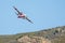 Winchester, CA USA - June 14, 2020: Cal Fire aircraft preparing to drop fire retardant on a wildfire from the sky near Winchester,