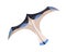 Wind air kite flying, floating. Kids paper toy flight. Summer entertainment object design with wings, tail for playing