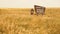 Wind Blowing Grass Buffalo Gap Grassland South Dakota