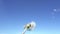 Wind blows off fuzzes with seeds from a white dandelion against the background of the blue sky,Slow motion