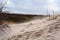 Wind blows sand between the sharp dune plants