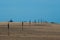 Wind break and two dogs on a deserted beach