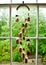 Wind Chime of Ceramic Bells