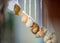 Wind chime made of snail shells