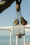 Wind chime over the sea