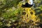 Wind chimes in autumn garden