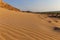 Wind Comb on the sand dunes