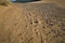 Wind creates interesting drawings in the sand, Sardinia