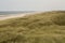 Wind Through the Dune Grass.