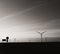 Wind electric power plant at sunrise, shade monochrome