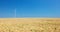 Wind electric turbines in agricultural wheat field in countryside. Windmills